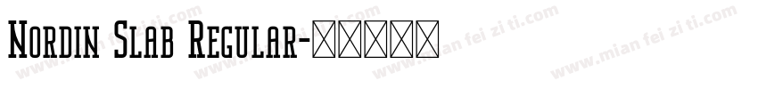 Nordin Slab Regular字体转换